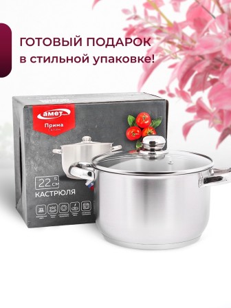 Кастрюля «Прима» (сатин) - 4,5 л, 220 мм, ТРС, КС (стеклянная крышка, матовая полировка, объемными ручками)