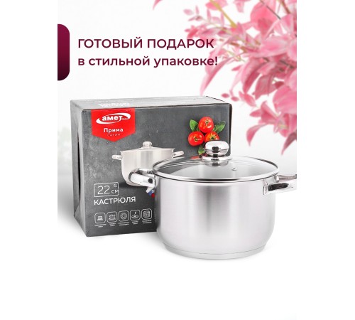 Кастрюля «Прима» (сатин) - 4,5 л, 220 мм, ТРС, КС (стеклянная крышка, матовая полировка, объемными ручками)