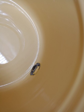 25-0628 Ведро эмалированное 12 л с крышкой 1224Ц/4Км Фруктовая фантазия