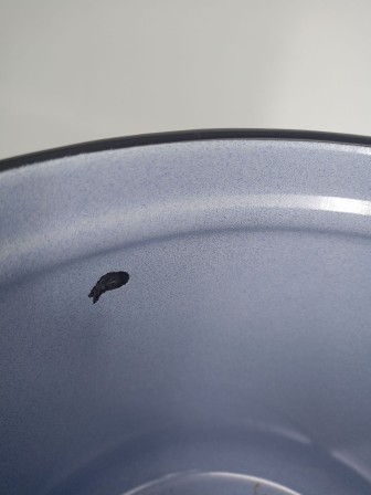 Уценка 25-1255 Кастрюля 12 л без деколи С-1624/Рб Белый рябчик