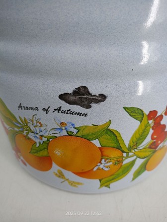 Уценка 25-1366 Ведро 12л 1224Ц/4Рб Фруктовая фантазия с крышкой