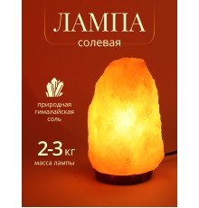 Солевая лампа Wonder Life Скала 2-3 кг