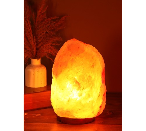 Солевая лампа Wonder Life Скала 7-10 кг, ZT