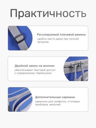 Сумка-изотермическая 6 л Р2106 (12)