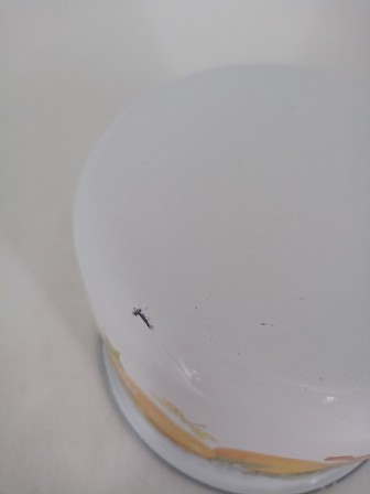 Уценка 25-1926 Кружка с крышкой 1л С-0207П2/4Э Фруктовая фантазия