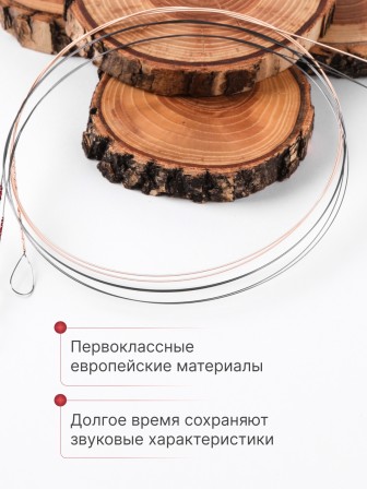 Комплект струн для домры малой Господин Музыкант DM29f красная 0,29