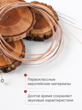 Комплект струн для акустической гитары Господин Музыкант BV9, серия Бронзовый Век 