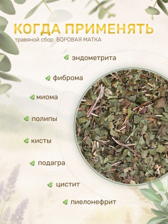 Чайный напиток Фитосила Боровая матка (ортилия однобокая), 25 г * 2 коробочки