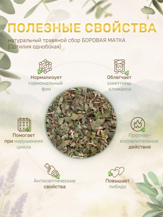 Чайный напиток Фитосила Боровая матка (ортилия однобокая), 25 г * 6 коробочек