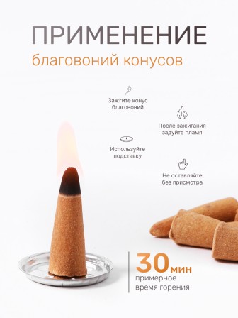 Благовония SATYA конусные Rose Роза, 2 упаковки по 12 конусов