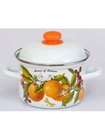 Кастрюля 4,5л C-1615АП2/4 Фруктовая фантазия