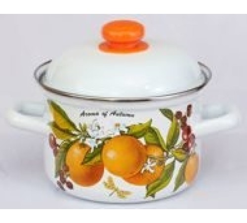 Кастрюля 4,5л C-1615АП2/4 Фруктовая фантазия