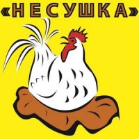 Оборудование для инкубации яиц от российского бренда "Несушка"