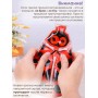Грелка солевая Божья коровка красная