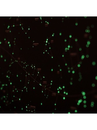Светящаяся карта звездного неба Star Light Map