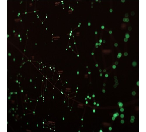 Светящаяся карта звездного неба Star Light Map