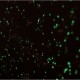 Светящаяся карта звездного неба Star Light Map