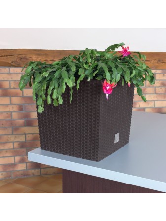 Садовое кашпо для цветов RATO LOW DRTS325L-440U венге 2 предмета 21 и 32 л