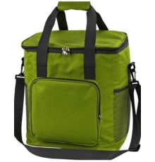 Сумка холодильник изотермическая Green Glade T1062, 20 л
