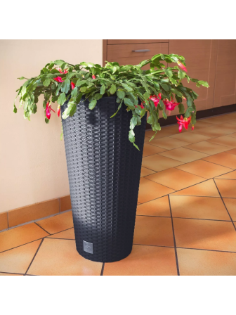 Садовое кашпо для цветов RATO TUBUS DRTUS300-440U венге 2 предмета 15 и 27 л