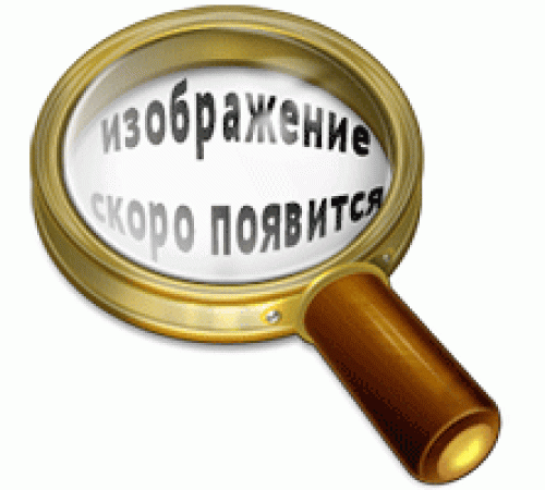 Обогреватель масляный "Умница" ОМ-9с-2.2кВт (цвет серый, пульт ДУ, таймер)
