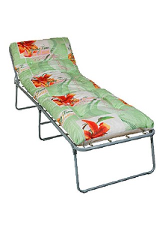 Раскладушка мягкая Надин С648 197х73х42см